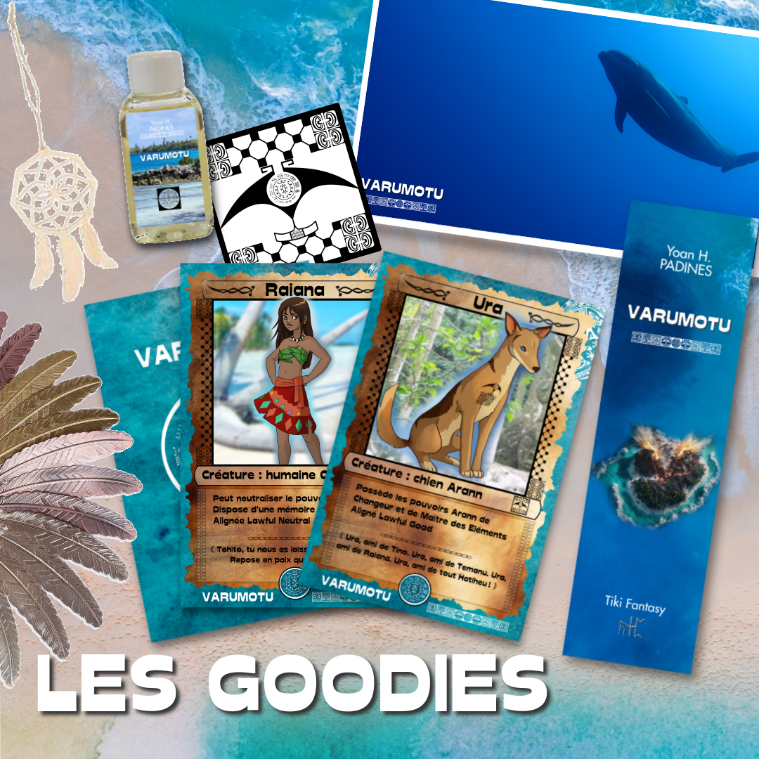 goodies box noel 2023 varumotu 1 et varumotu 2