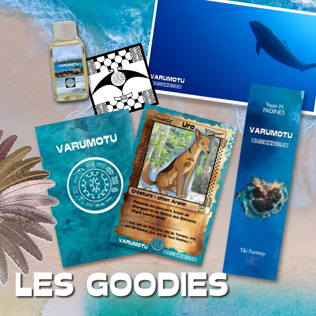 goodies box noel 2023 varumotu 2